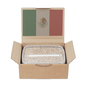 Buy Mondo Grow Kit Mexican in California