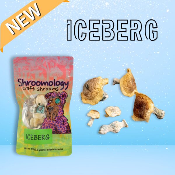 Buy “ICEBERG” Whole Shrooms in California