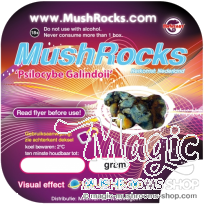 Magic Truffles Galindoi Mushrocks | Natural psilocybin Truffles California